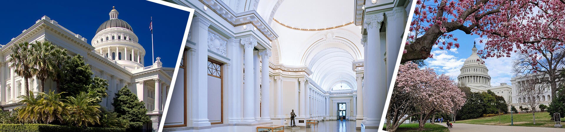 Advocacy
